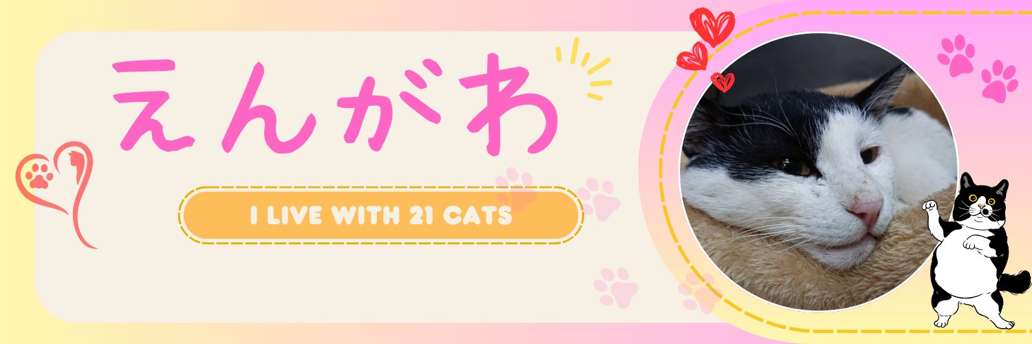 えんがわcafe's banner