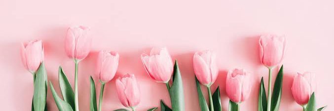 まきちゃん🌷's banner