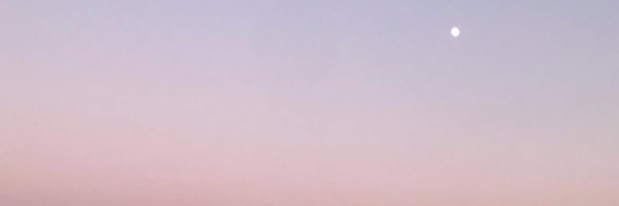 𝗔𝗺𝗶's banner