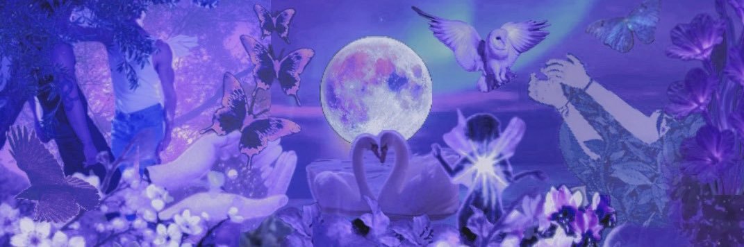 void‧͙⁺༓☾🔮's banner