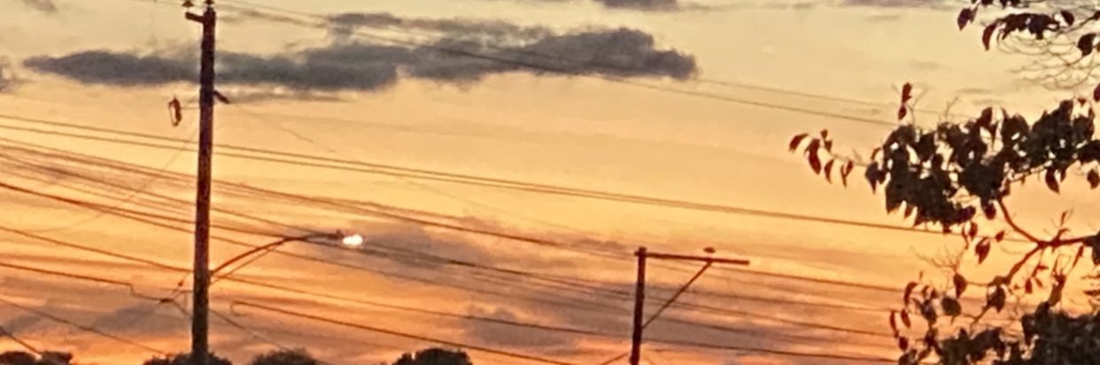 lia 🪽's banner