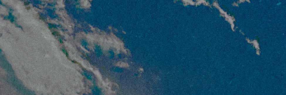GESO's banner