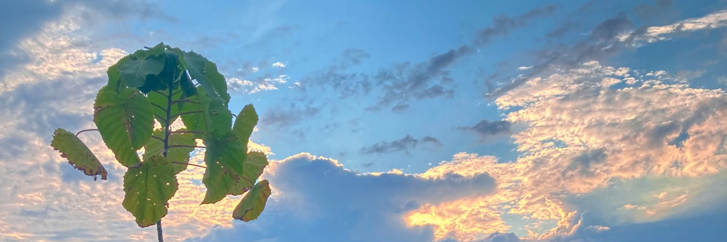 Bellakarla🍃💫's banner