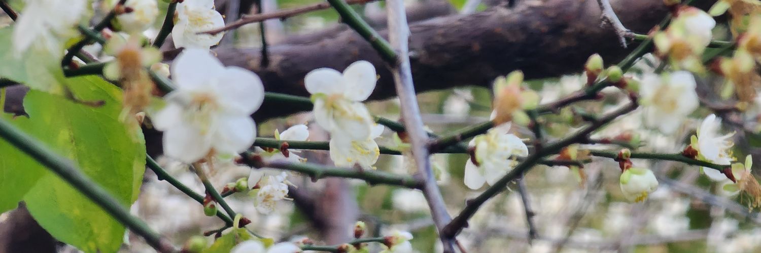 張 柏浩＿Paco's banner