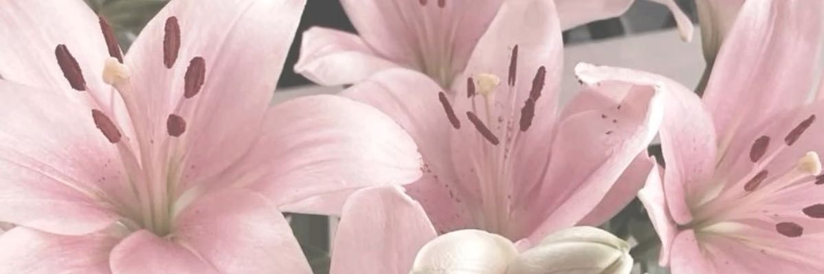 chloemay1xo's banner