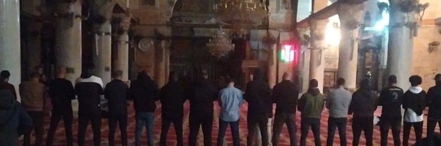 زياد ابحيص's banner