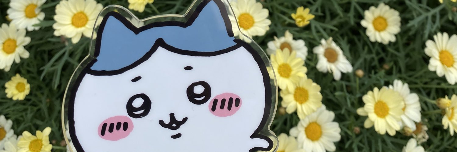 しえのあ's banner