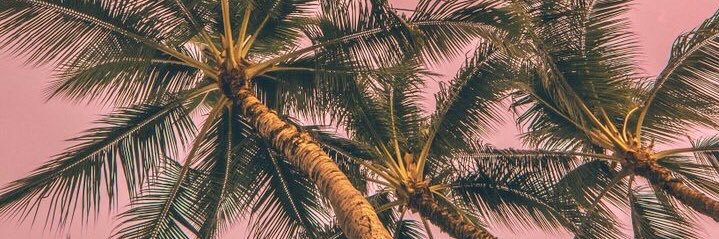 alex's banner