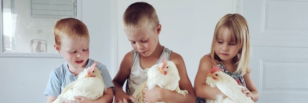 Valeureuse guerrière des temps modernes👩‍🌾et👩‍'s banner