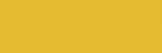 A FOODI PERSON✨'s banner