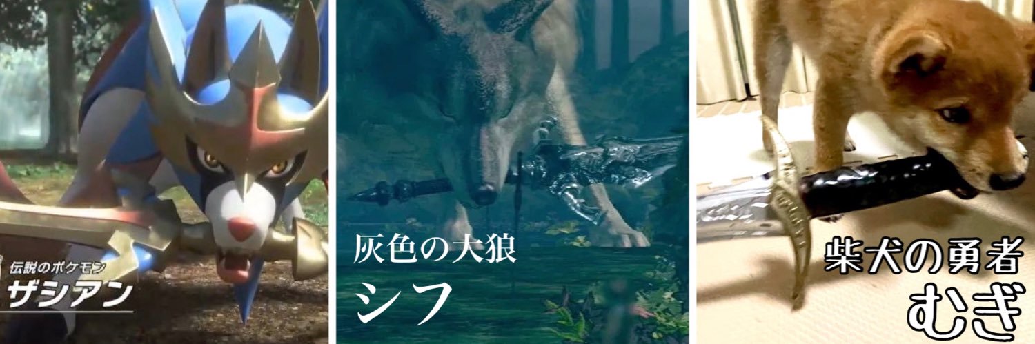 柴犬勇者むぎまる's banner