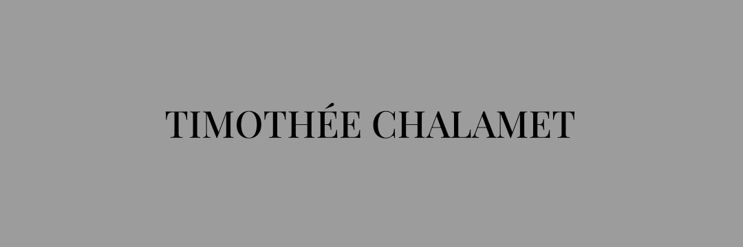 hourly timothée ✩彡's banner