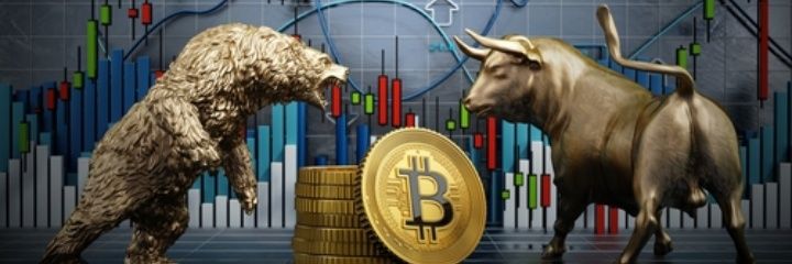 100%CRYPTO🥷's banner