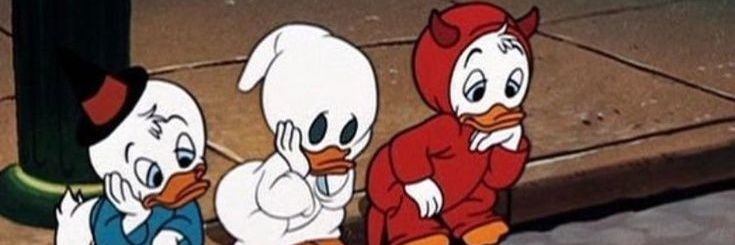 🥀 Floralzito 🥀's banner