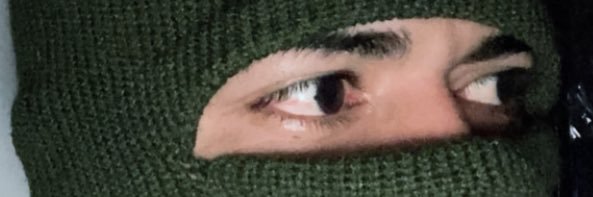 daniel's banner