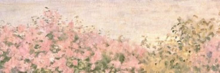 rey 🍒's banner