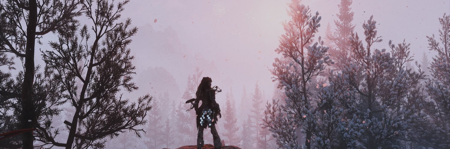 larissa's banner