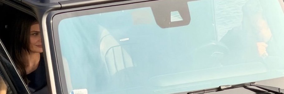 Irry's banner