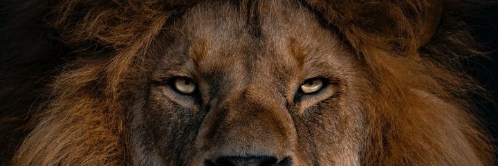 War On Truth | WoT?'s banner