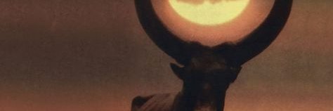 Luca Maxim's banner