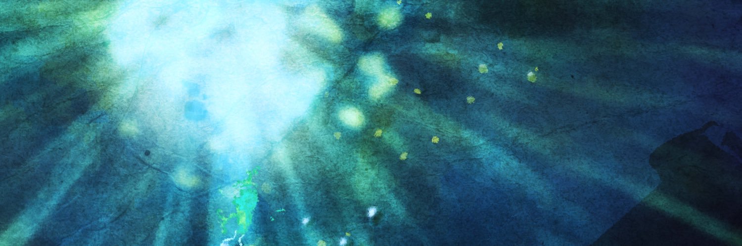 🌕's banner