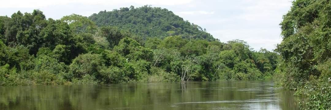 Rodolfo Salm 🌳🌴🌴🌴🏹😺's banner
