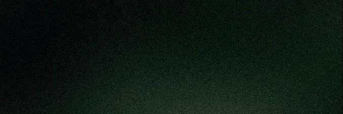 𑣲's banner