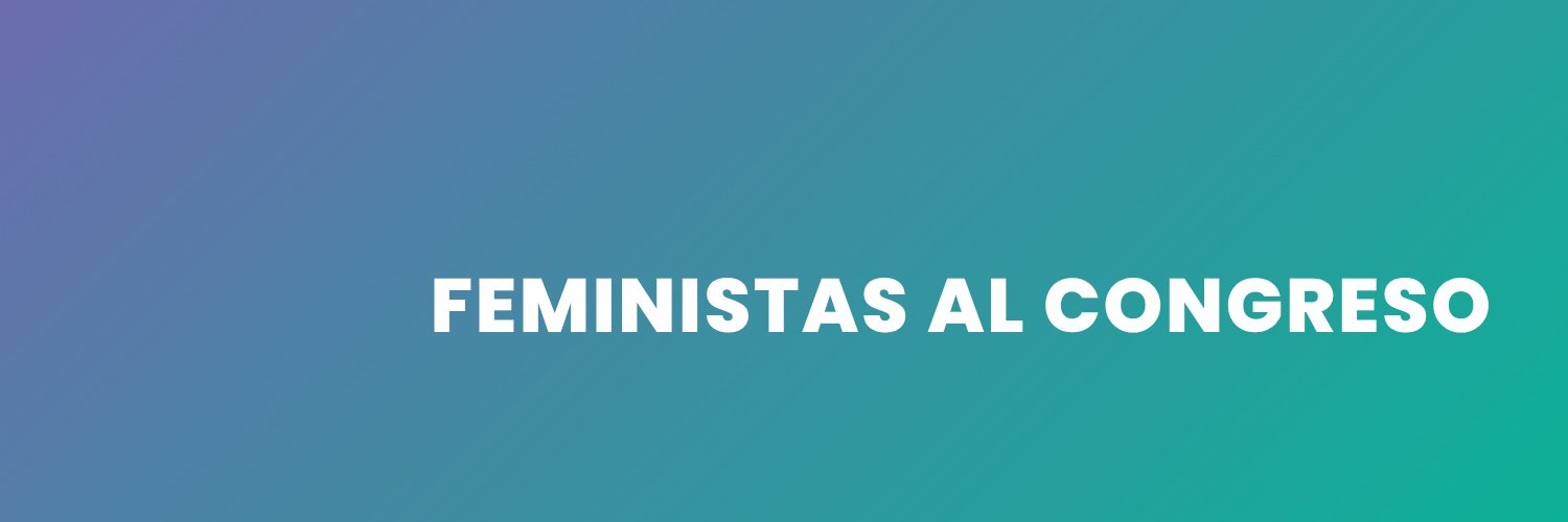 Partido Feministas Al Congreso's banner