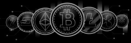 Crypto 🔶 ₿N's banner