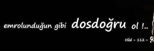 ZEYNEP 🇹🇷's banner