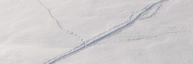 water's banner