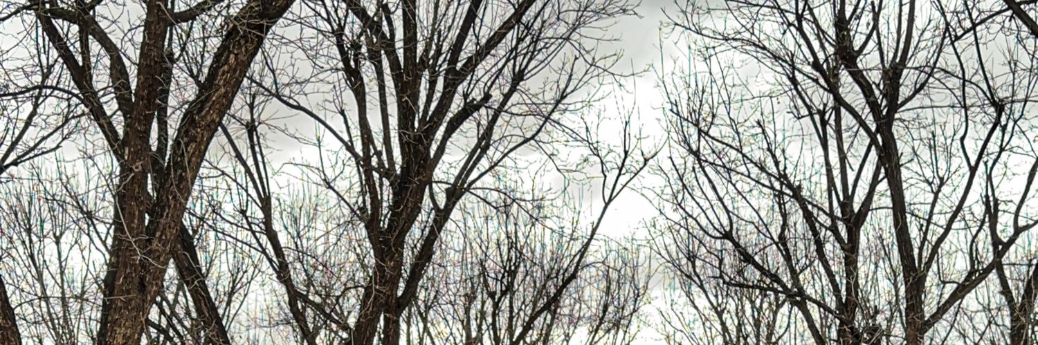 Ricardo Manjarrez's banner
