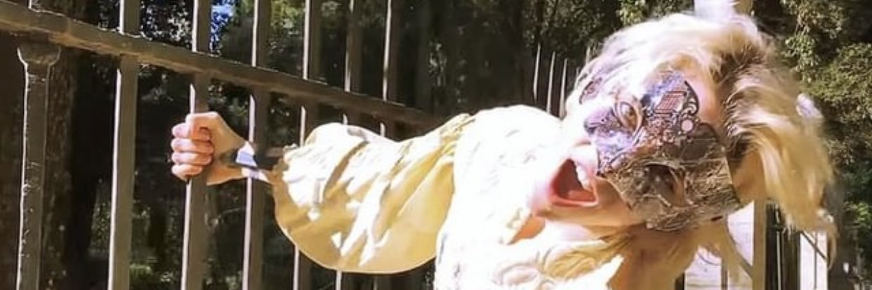 hincha de la seleccion's banner