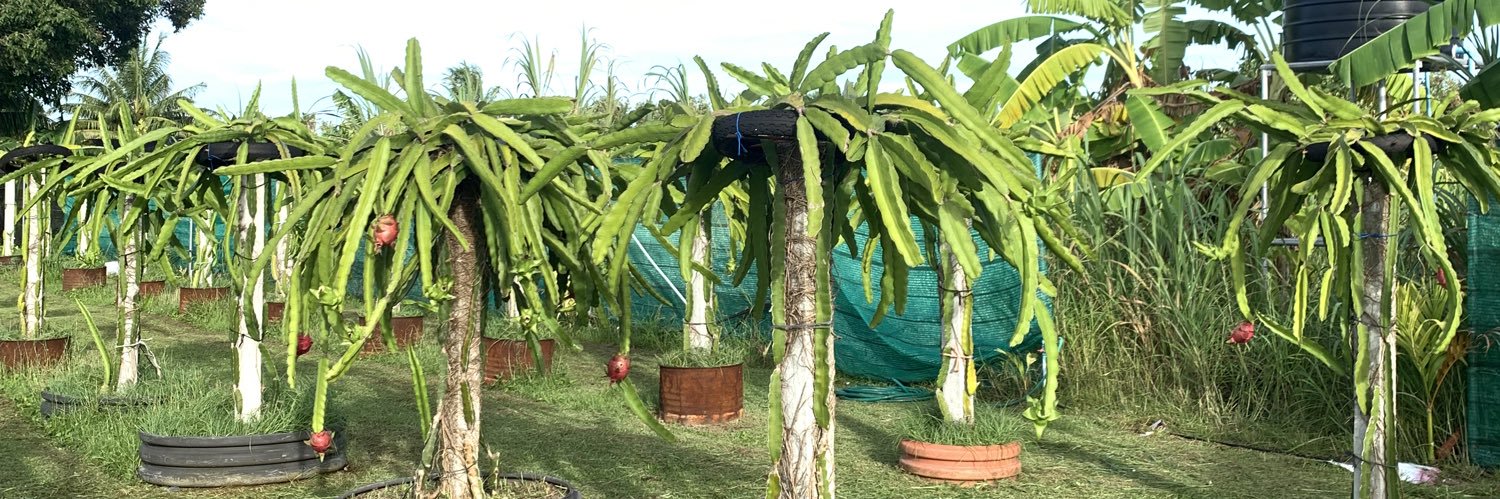 Zuvaan Dhanduveriyaa's banner