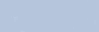 .'s banner