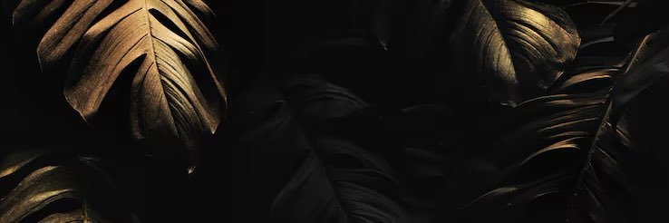 Malika K. Jones's banner
