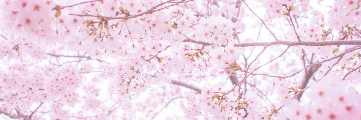 新チャンネル桜・くにもり応援アカウント's banner