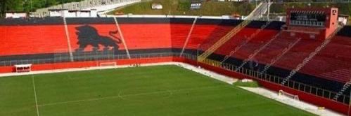 Vitóriasulamericano🦁's banner