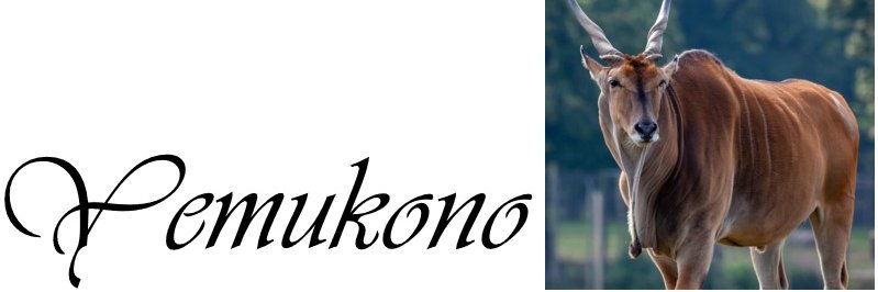 Mhofu's banner