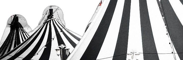 Sal ★'s banner