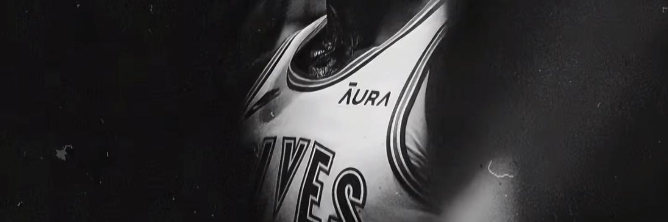 LAVINE's banner