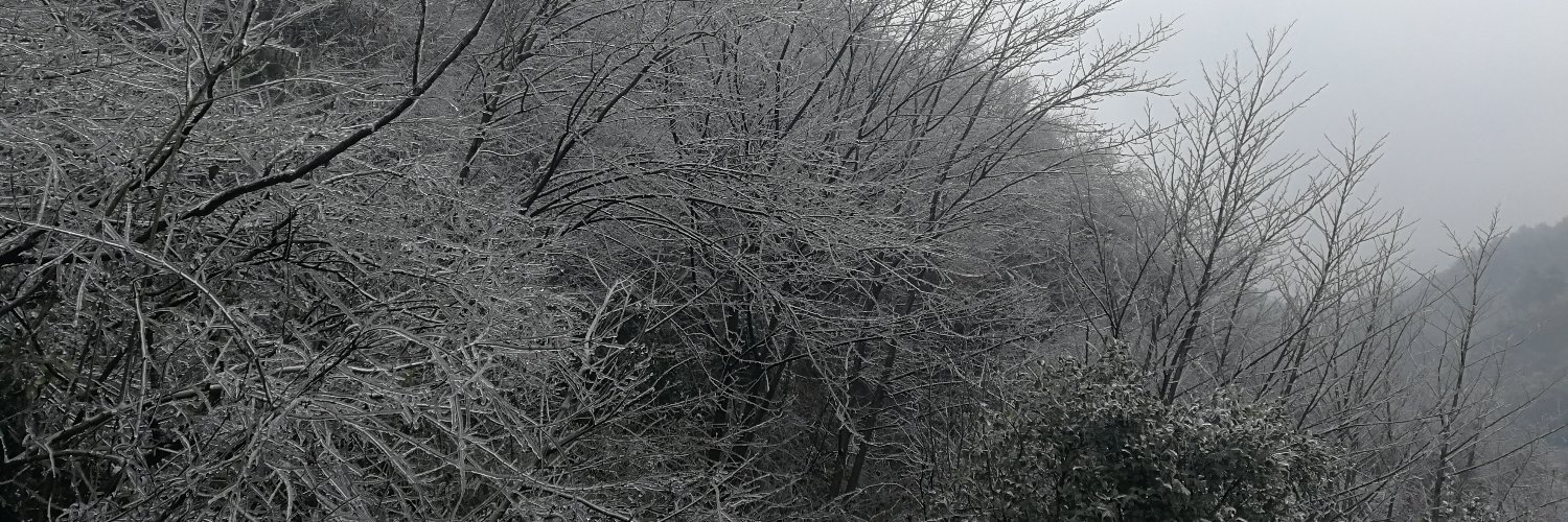 小屌绿主天羽's banner