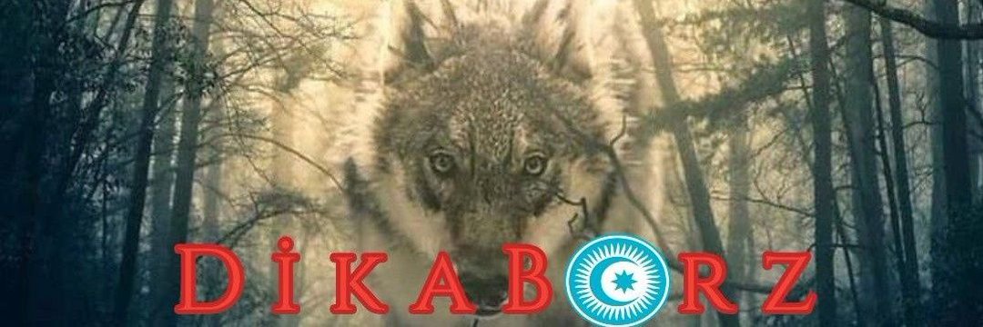 DİKABORZ 𓃦 𐱅𐰇𐰼𐰜 𓃦's banner