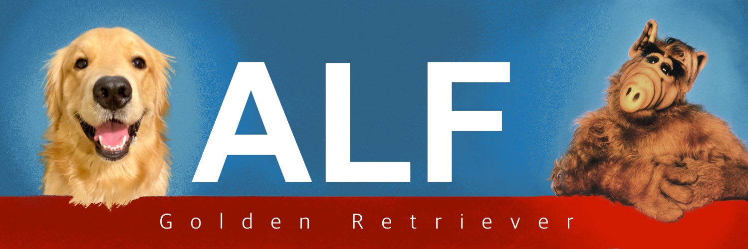 ALF's banner