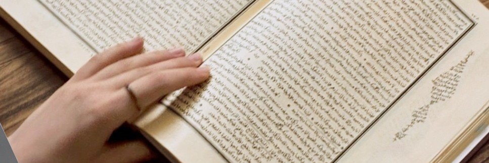 ز˚'s banner