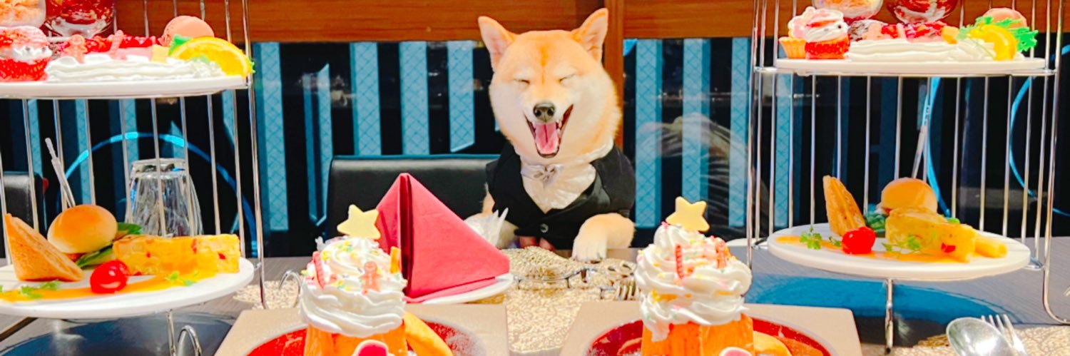 ☀️陽(ひなた)望🌕(もち)極小豆柴🐾's banner