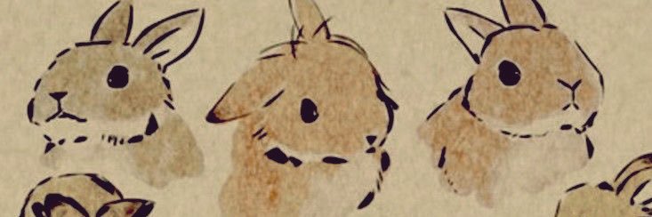 lj 🦦's banner