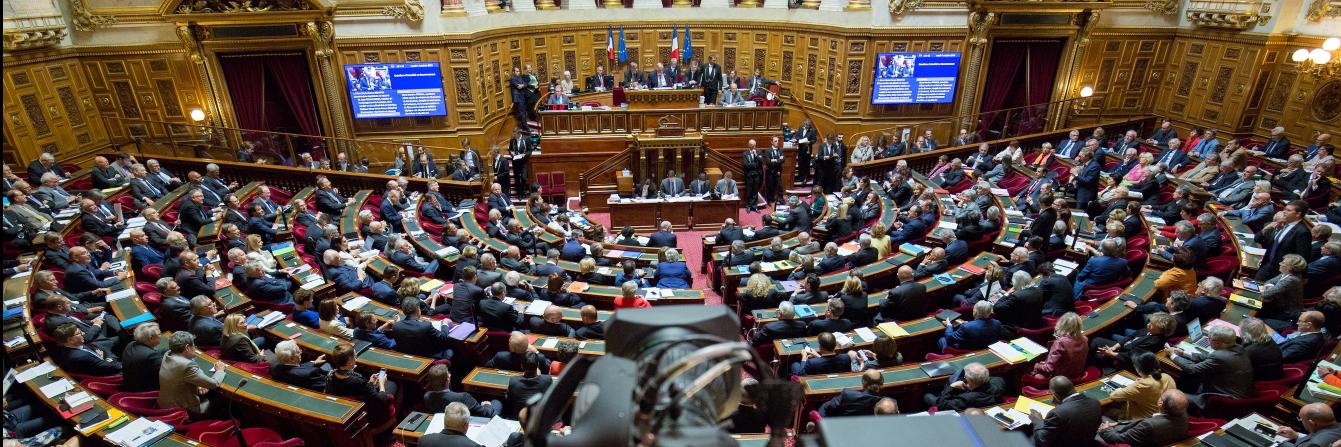 Sénat Direct's banner