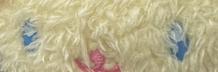 えりなっち🐥🌈's banner