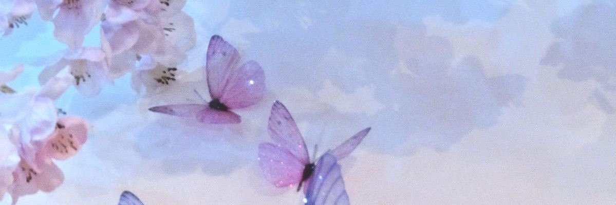 نوفا...٠٠..💜🤍's banner